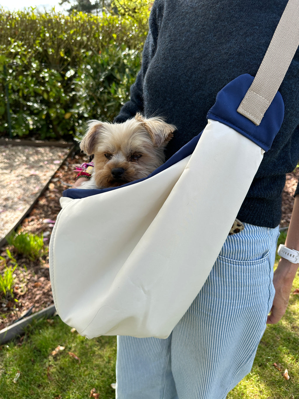 Sac de Transport Chien moins 8 kg
