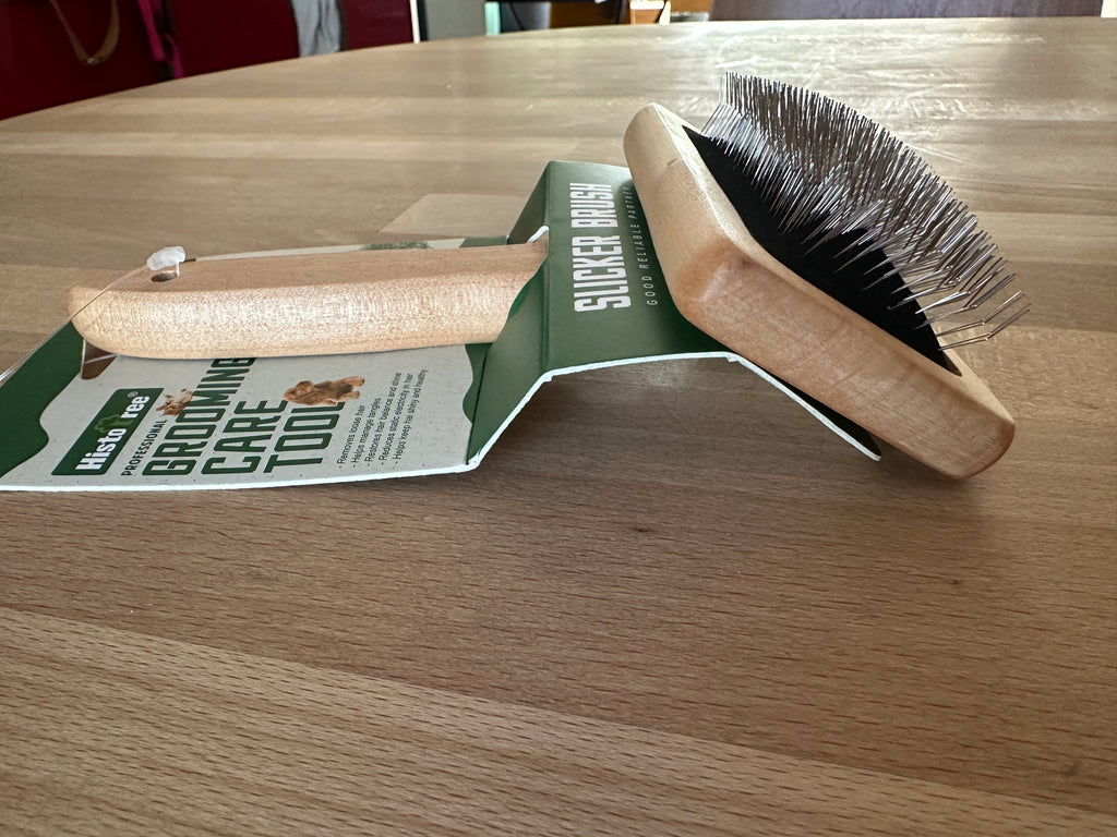 brosse en bois
