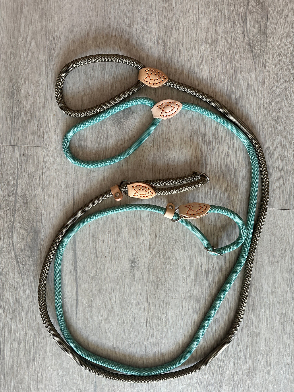 Laisse et collier lasso