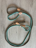 Laisse et collier lasso