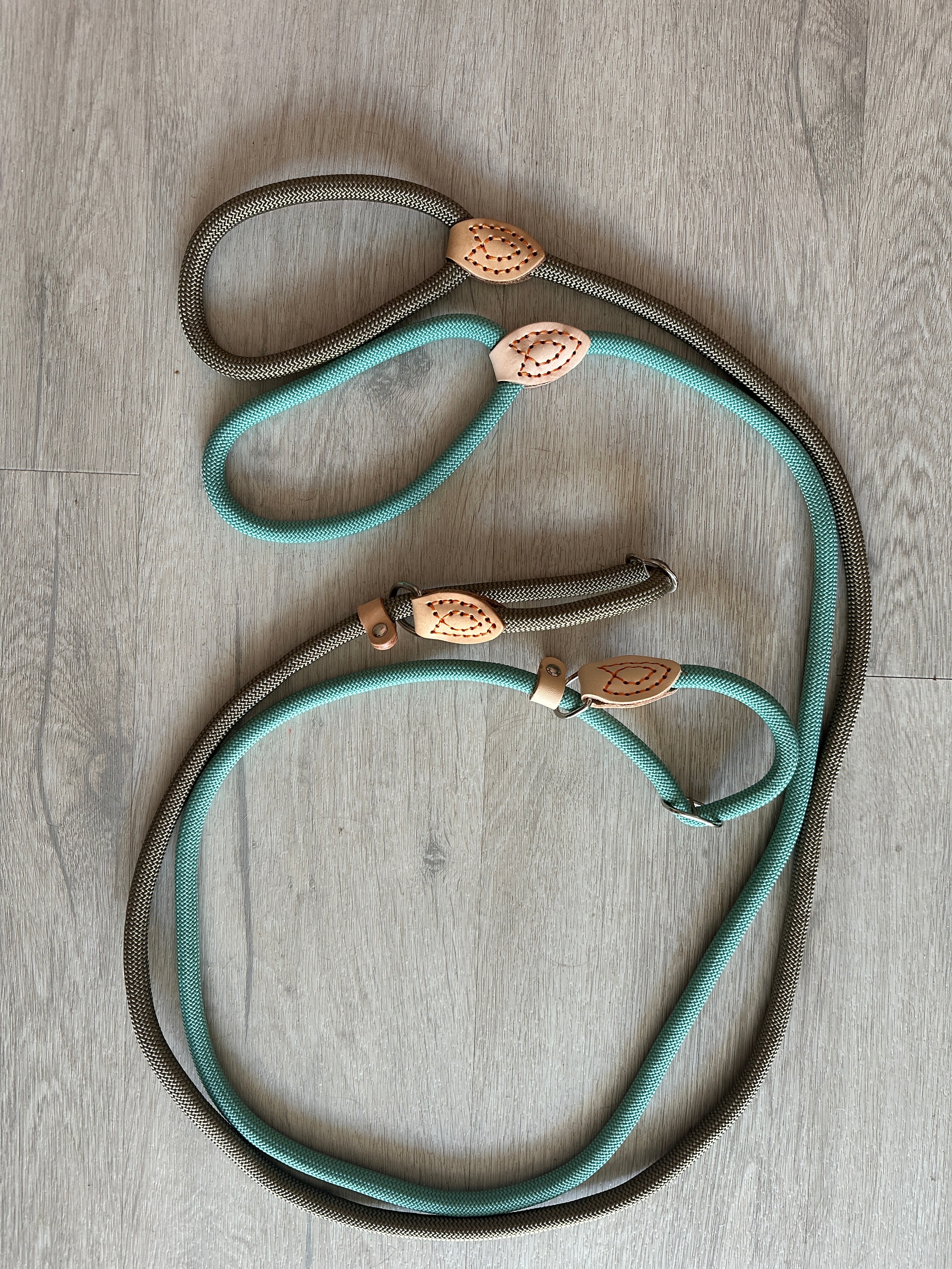 Laisse et collier lasso