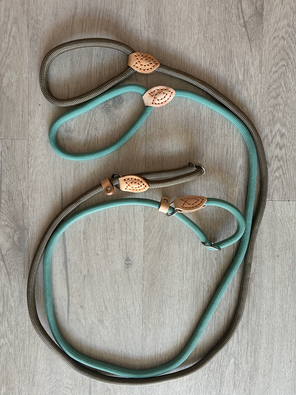 Laisse et collier lasso