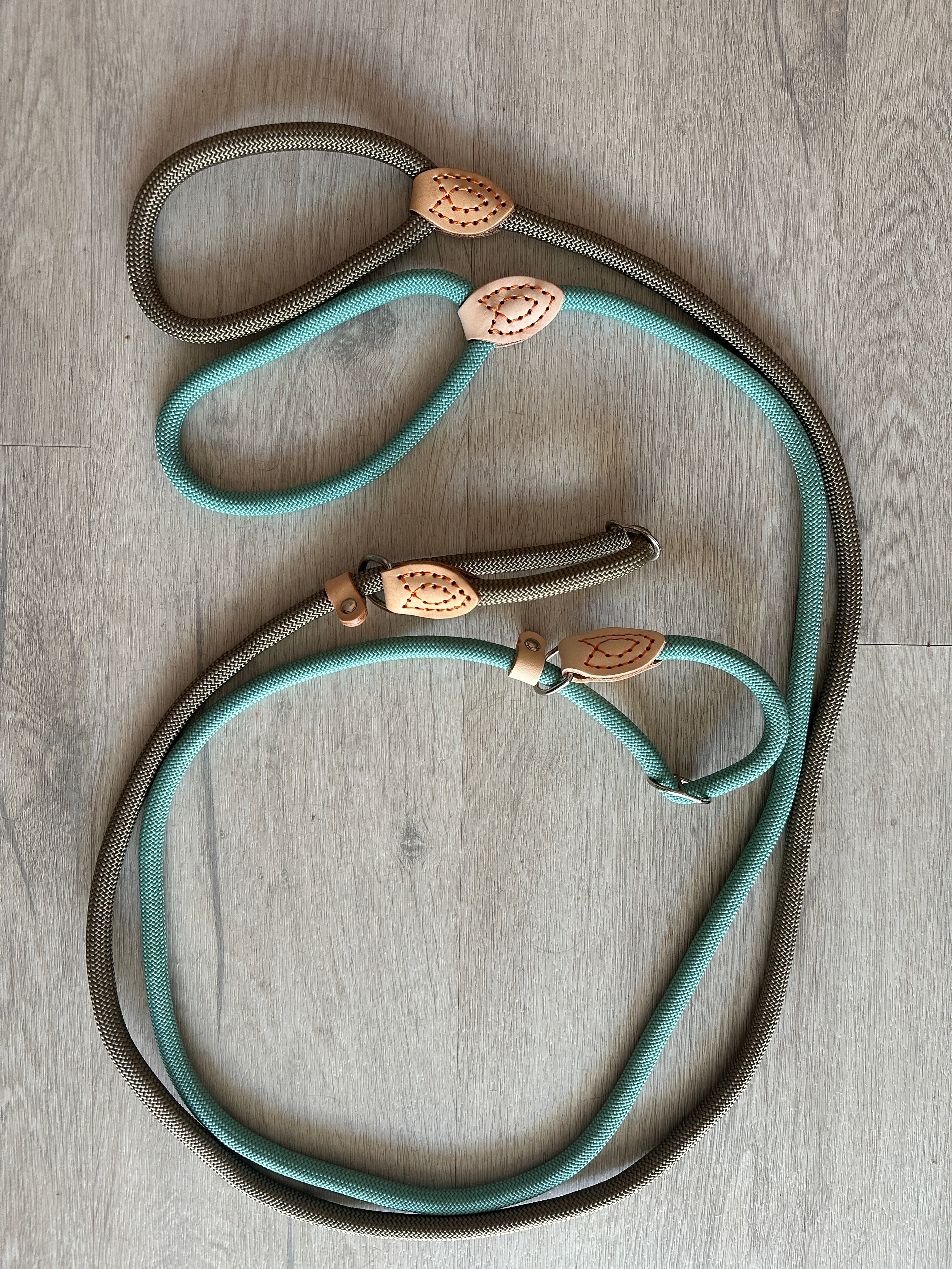 Laisse et collier lasso